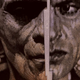 A crop of Frankenstein by Drew Struzan. Image: Mondo